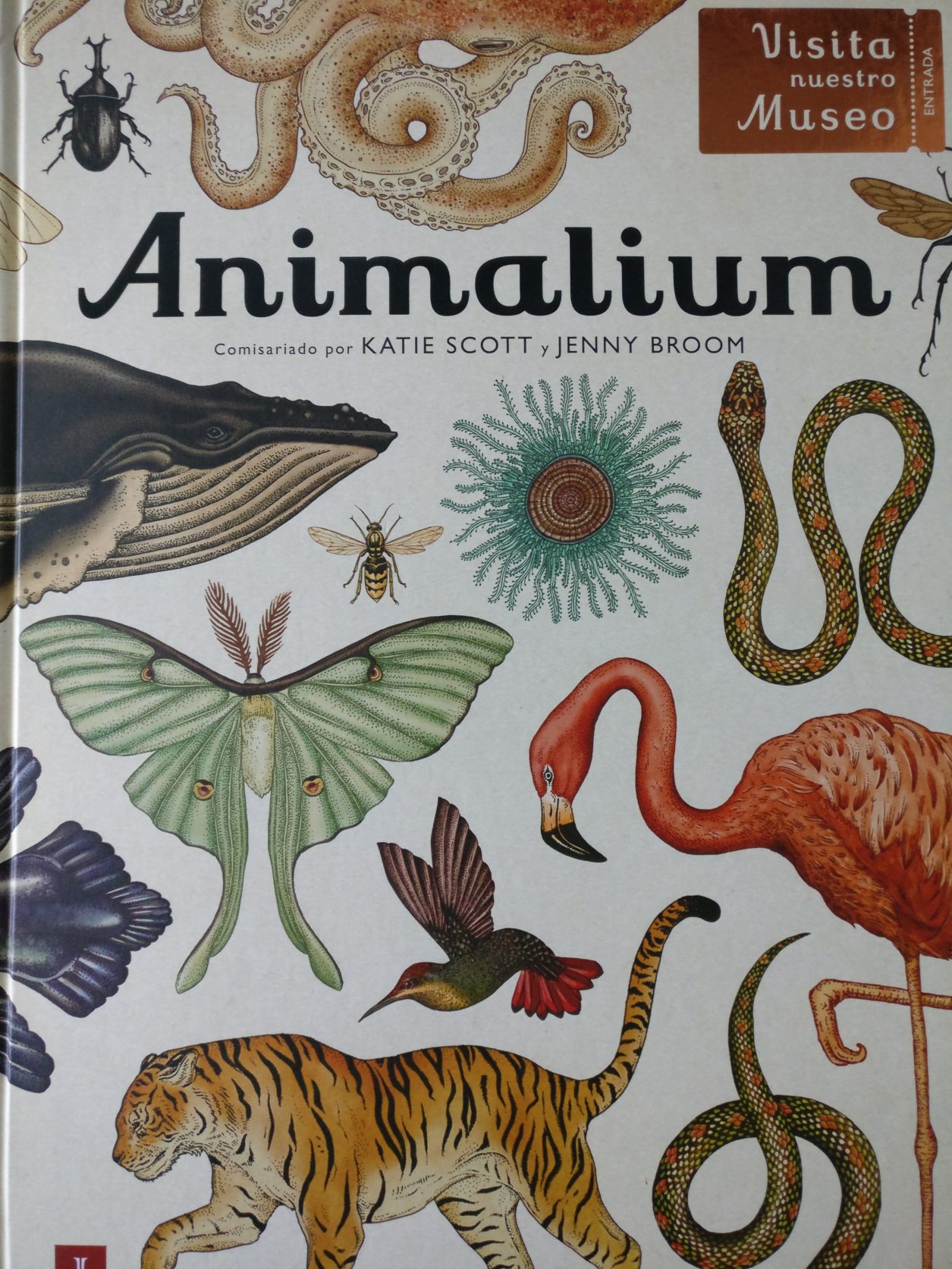 Madres Desterradas Libro Infantil Ilustracion Animalium Animales